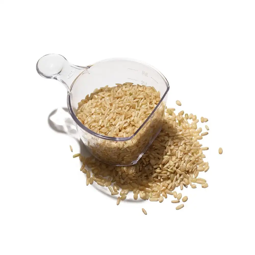 OXO POP 2.0 Container | Rice Cup