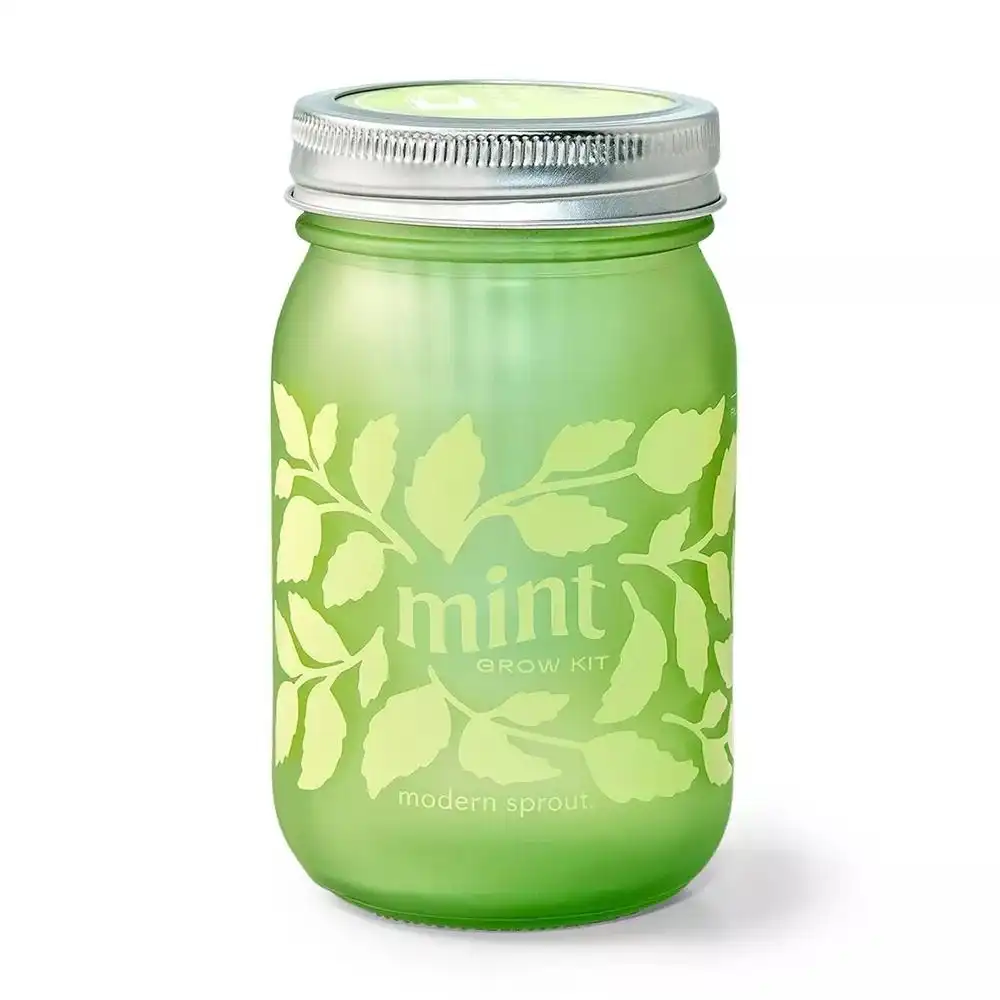 Modern Sprout Herb Garden Jar | Mint