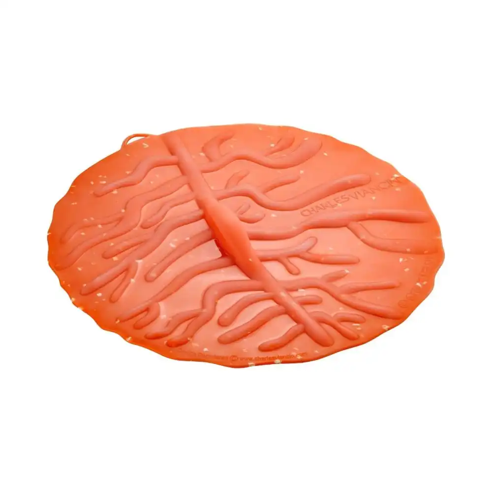 Alternative view of Charles Viancin Coral Lid | 11"