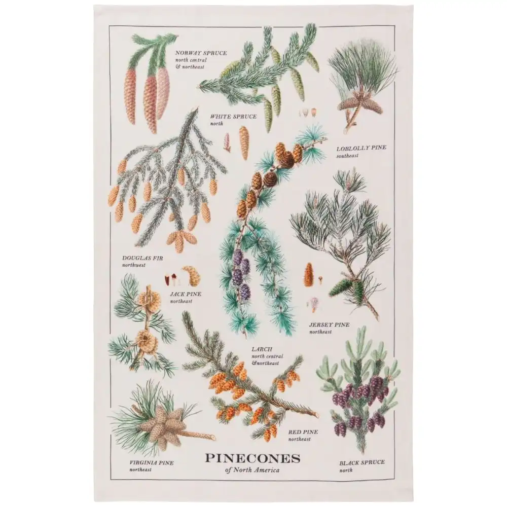 Now Designs by Danica Printed Cotton Dishtowel | Pinecones