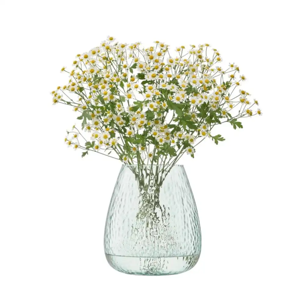 Alternative view of LSA Canopy 9.75" Seed Vase