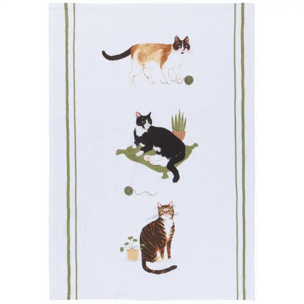 Alternative view of Now Designs by Danica Floursack Dishtowels (Set of 3) | Cat Collective