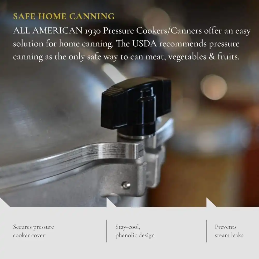 Alternative view of All American 1930 Pressure Canner Wing Nut