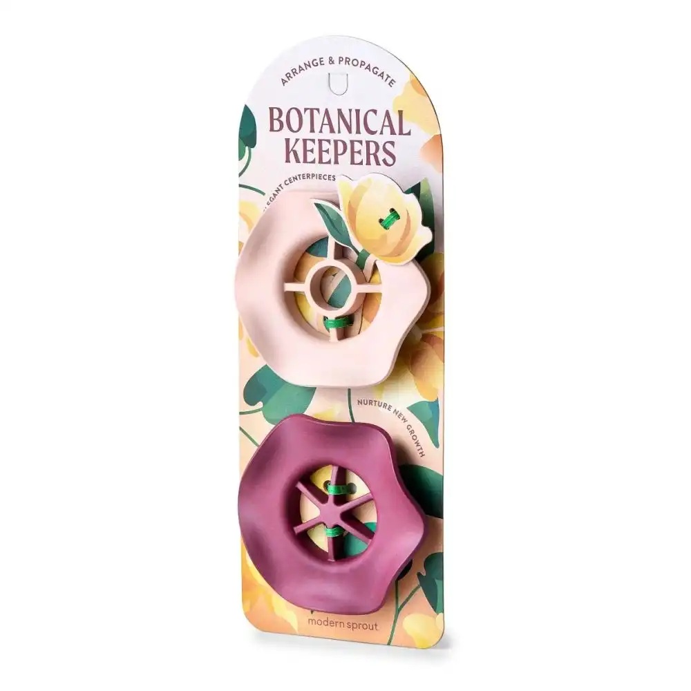 Modern Sprout Botanical Keepers | Set of 2