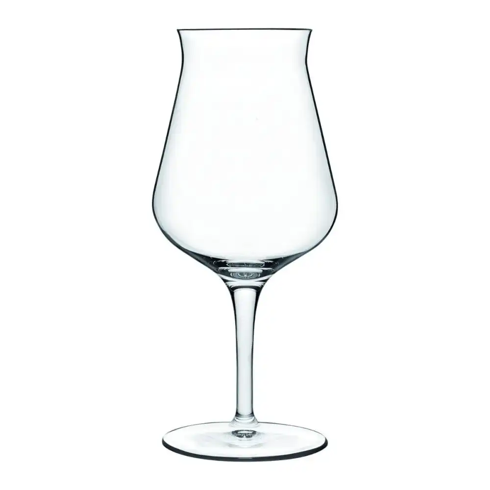 Luigi Bormioli Birrateque Beer Tester Glasses (Set of 2) | 14.25oz