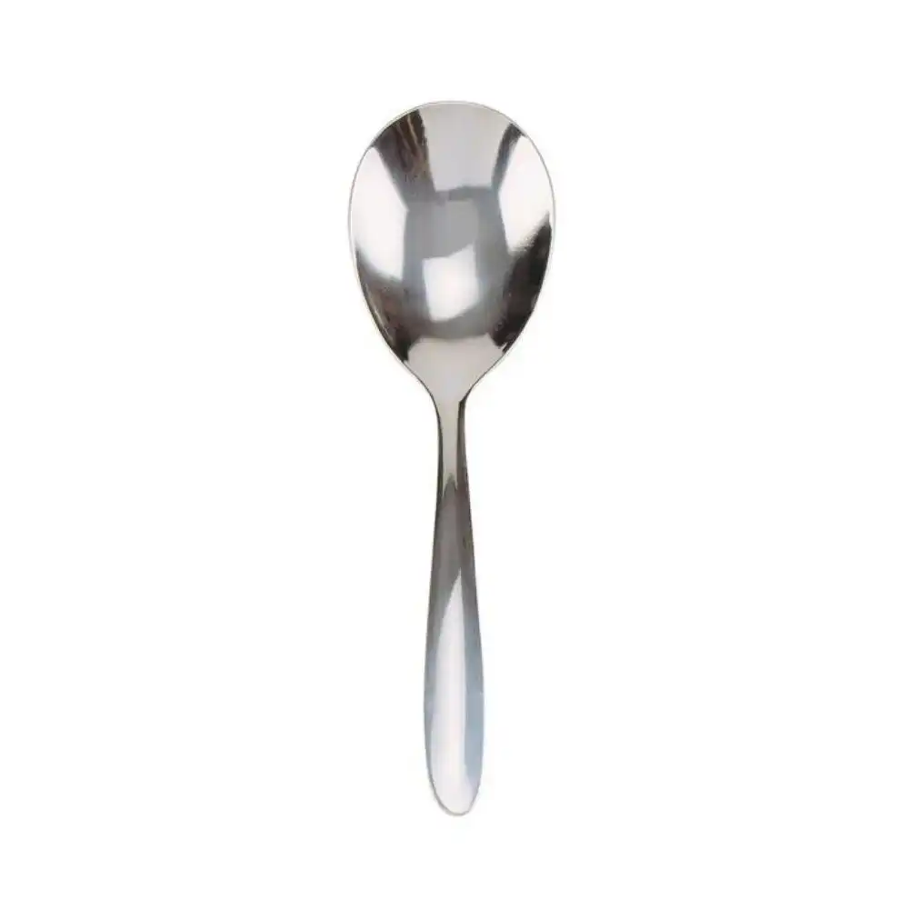 Norpro 9 inch Stainless Steel  Serving Spoon