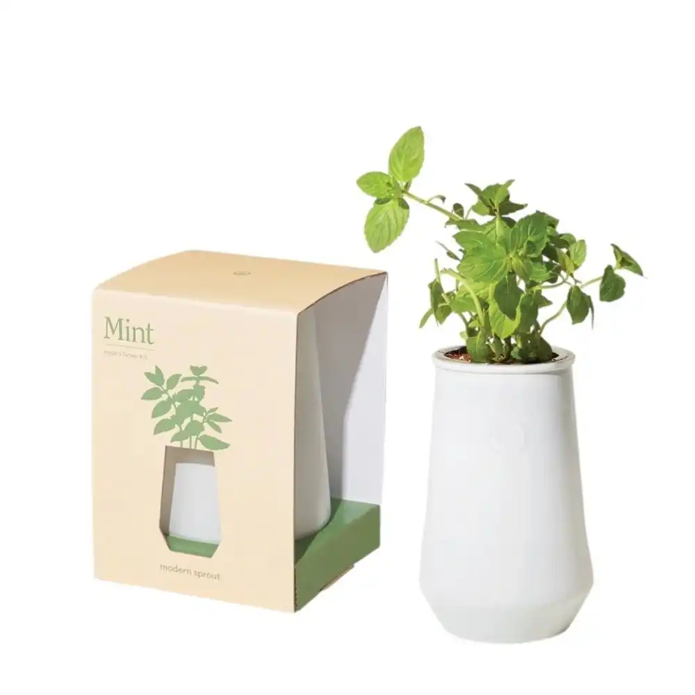 Modern Sprout Tapered Tumbler | Mint