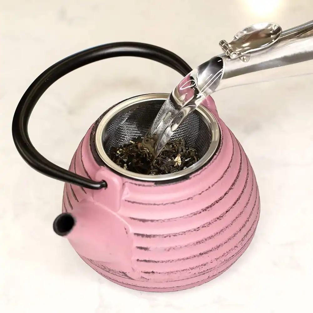 Alternative view of Frieling 17oz Nabe Cast Iron Teapot | Lavender